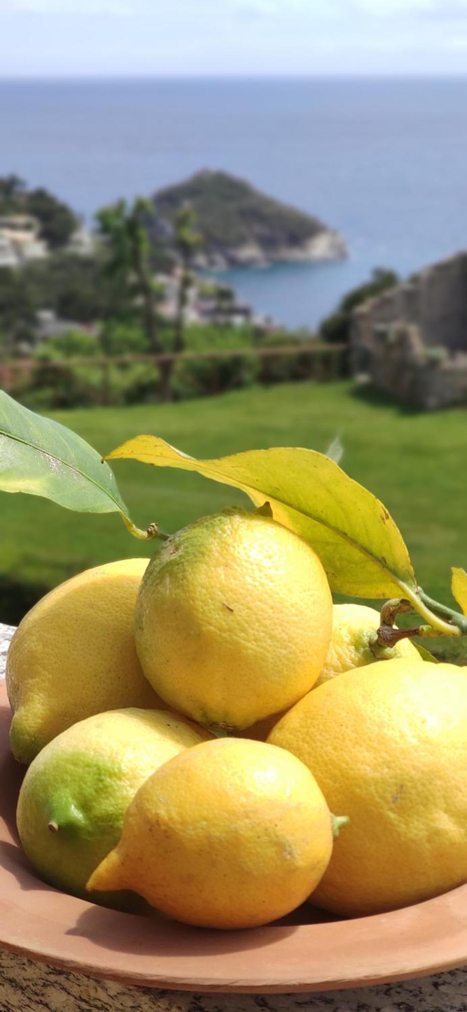 Il Giardino Sull'Isola - Appartamento - Bergeggi Exterior foto